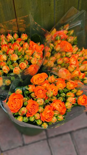 Multiple bouquets of fresh orange roses with tightly closed buds and some partially open blooms, wrapped in clear plastic and dark green paper, placed on a paved surface against a wooden background. T